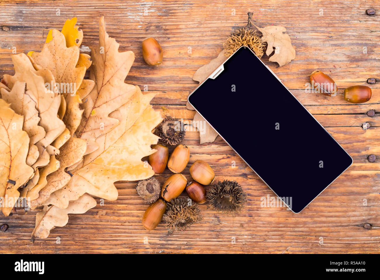 Auf die natürlichen Herbst Hintergrund Smartphone Stockfoto