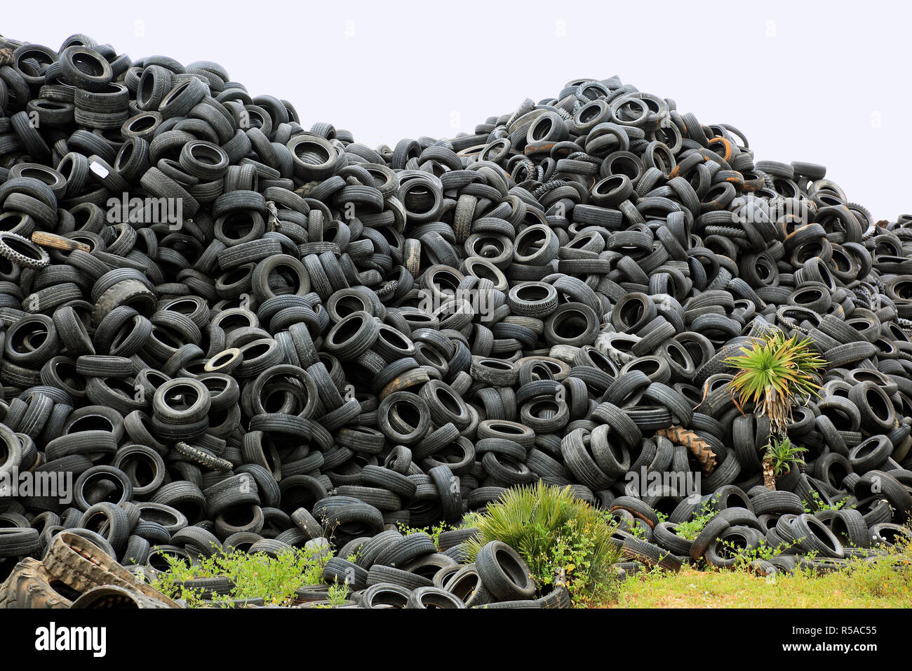 Alte Autoreifen liegen auf einem Haufen für Recycling Stockfoto