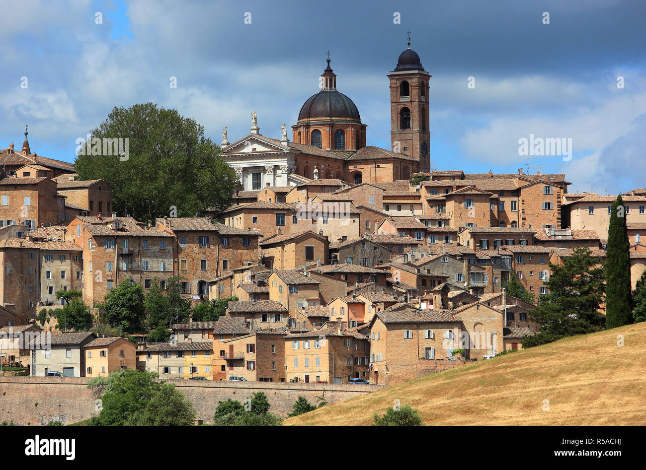 Kathedrale und Altstadt von Urbino, Marken, Italien Stockfoto