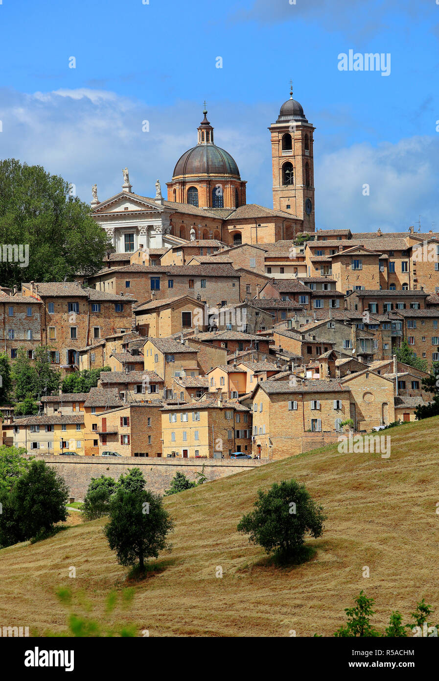 Kathedrale und Altstadt von Urbino, Marken, Italien Stockfoto
