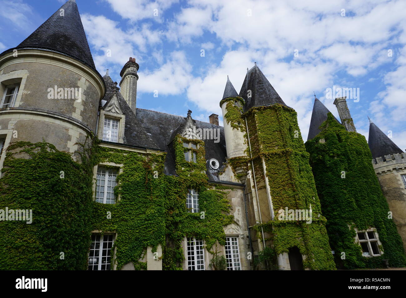 Hell Grn Efeu kriechen auf dem alten Steinmauern eines Landes Schloss an  der Loire, Frankreich Stockfotografie - Alamy