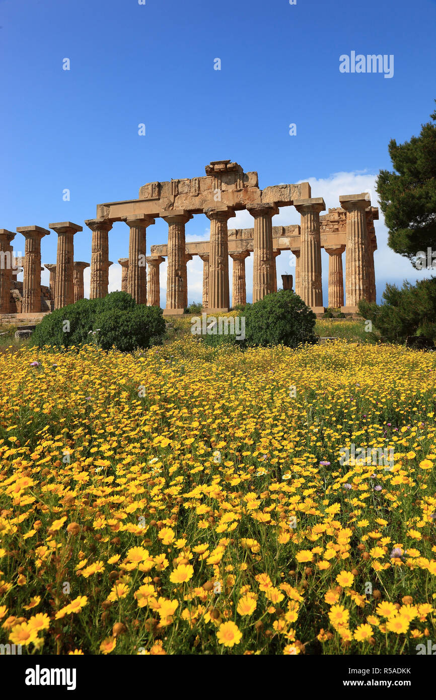 Säulen als bleibt, Tempel E mit blühenden Blumenwiese, archäologische Stätte, Selinunte, Sizilien, Italien Stockfoto