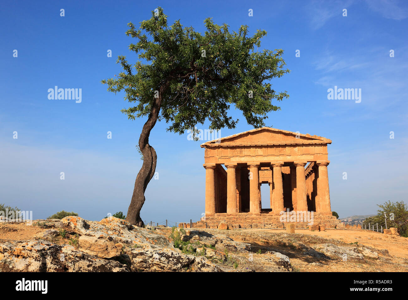 Valle dei Templi di Agrigento, Tempel der Concordia mit Olivenbäumen, Agrigento, Sizilien, Italien Stockfoto