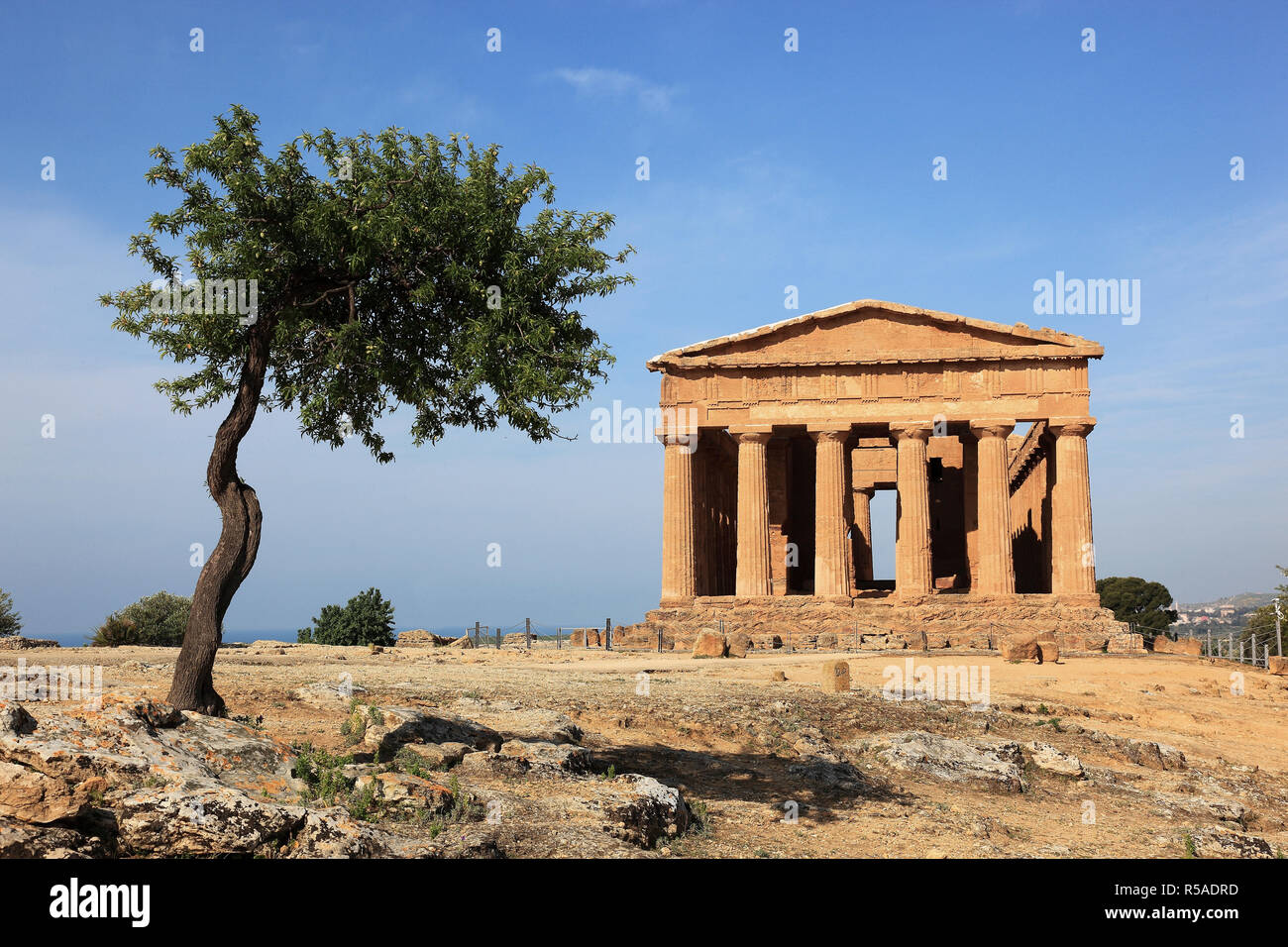 Valle dei Templi di Agrigento, Tempel der Concordia mit Olivenbäumen, Agrigento, Sizilien, Italien Stockfoto