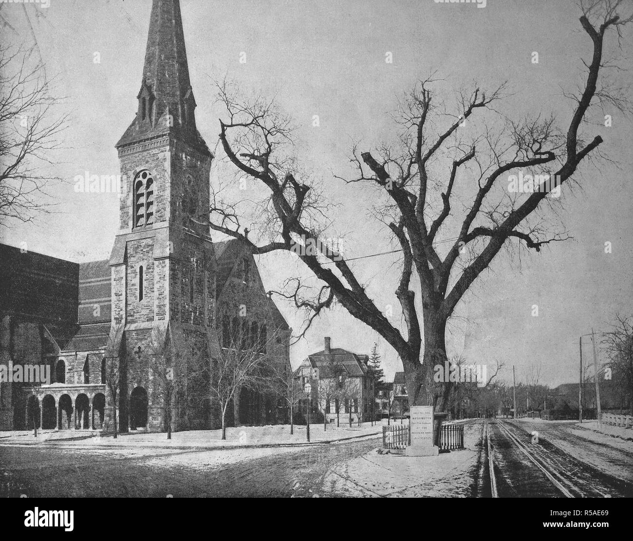 Cambridge in der Nähe von Boston, Massachusetts, die Middlesex County Washington elms im Winter neben der Kirche, 1899, Amerika Stockfoto