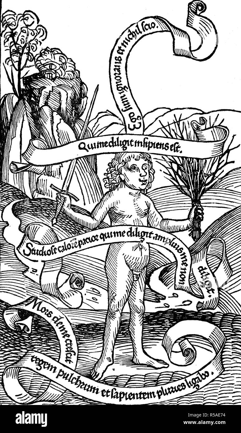 Allegorie der Unwissenheit, die Strafen, die sie mit sich bringt, die von Stab und Schwert, Holzschnitt, 1480 symbolisiert sind, England Stockfoto