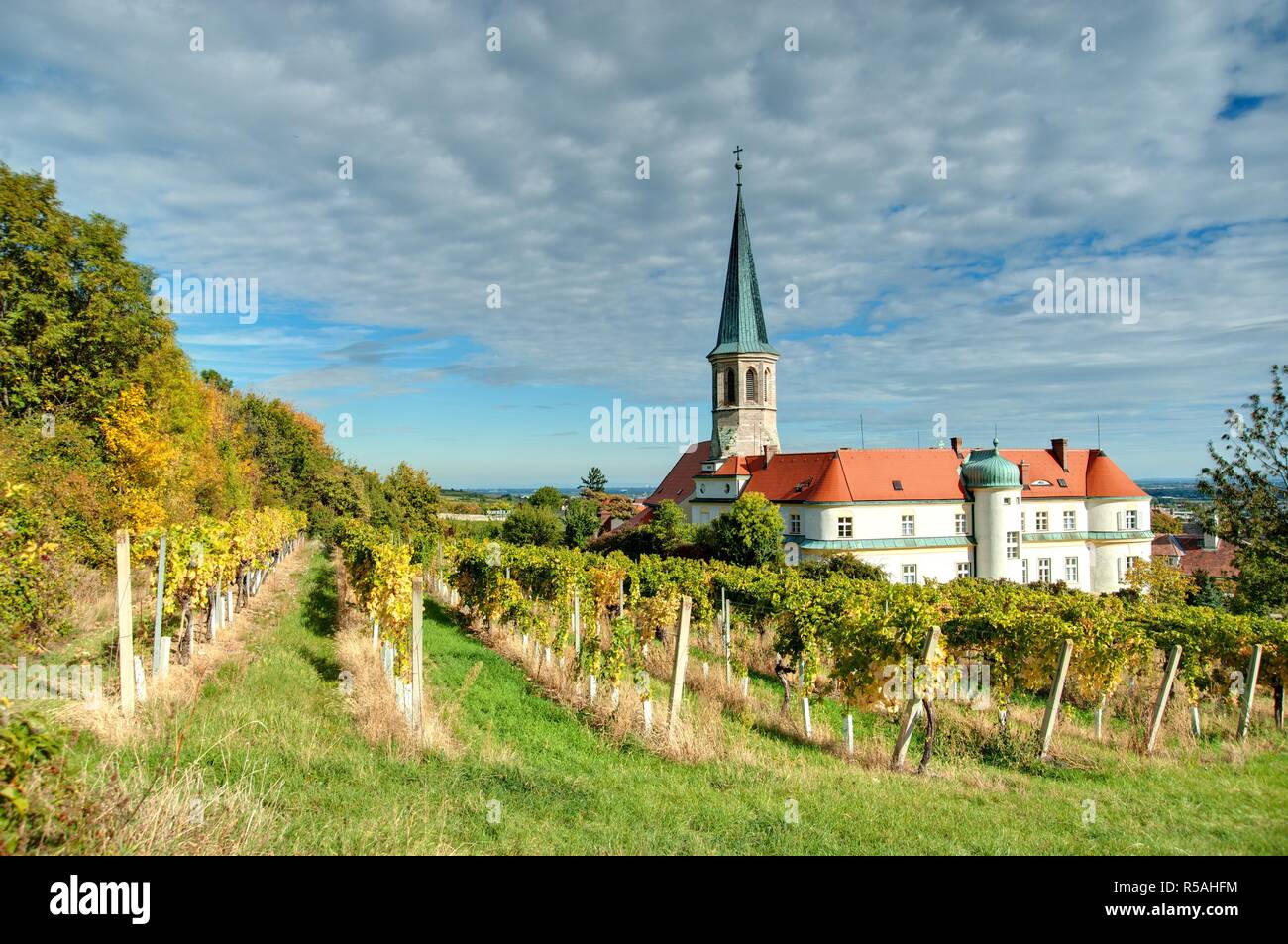 Niederösterreich, Gumpoldskirchen - Österreich, Gumpoldskirchen Stockfoto