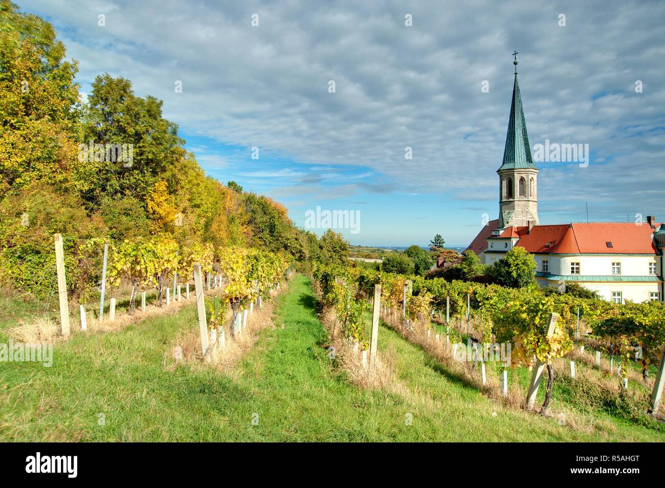 Niederösterreich, Gumpoldskirchen - Österreich, Gumpoldskirchen Stockfoto
