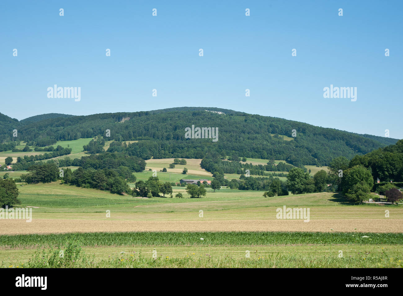 Niederösterreich, Landschaft bei Hafnerberg Stockfoto