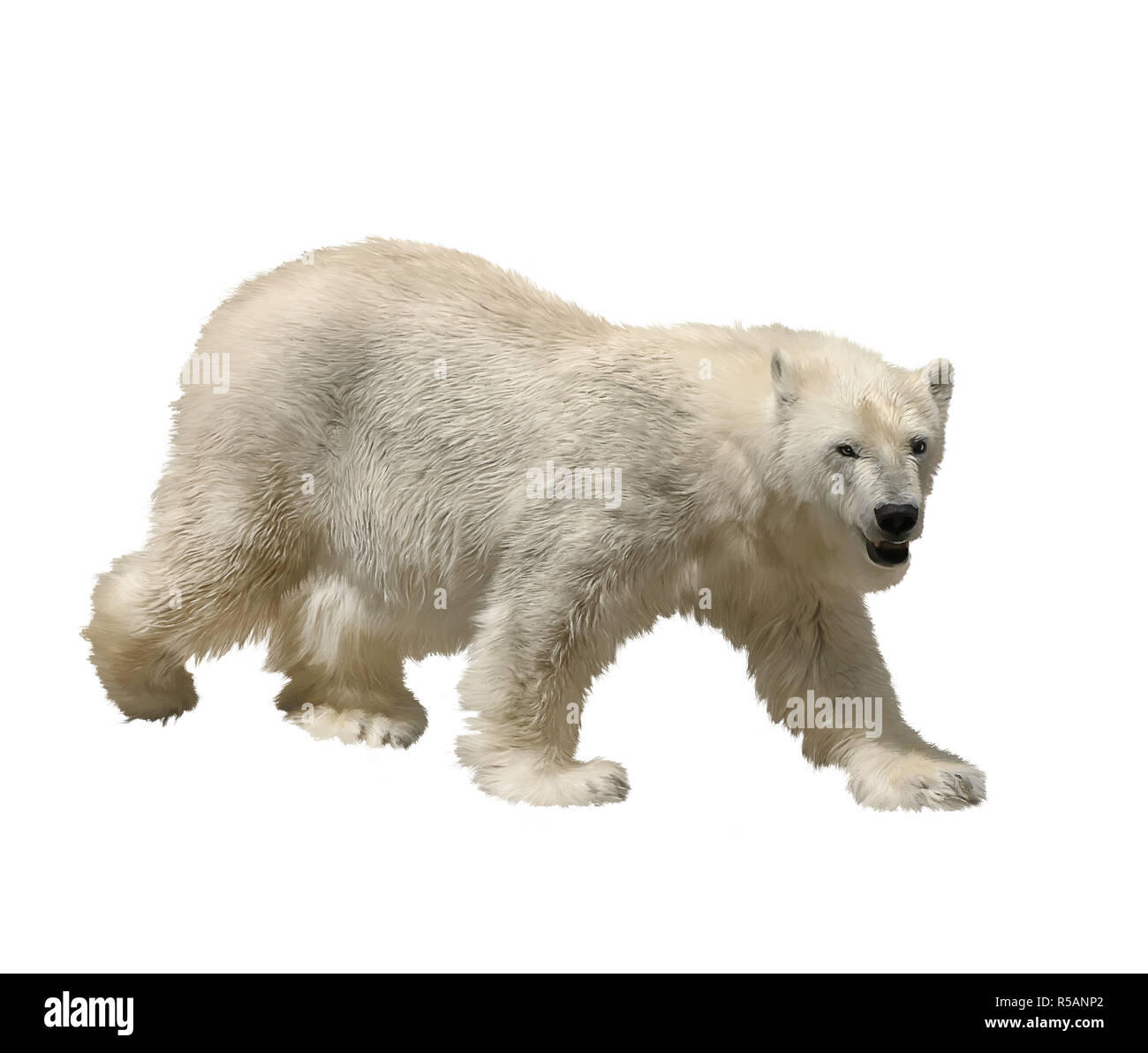 Eisbär Aquarell Stockfoto
