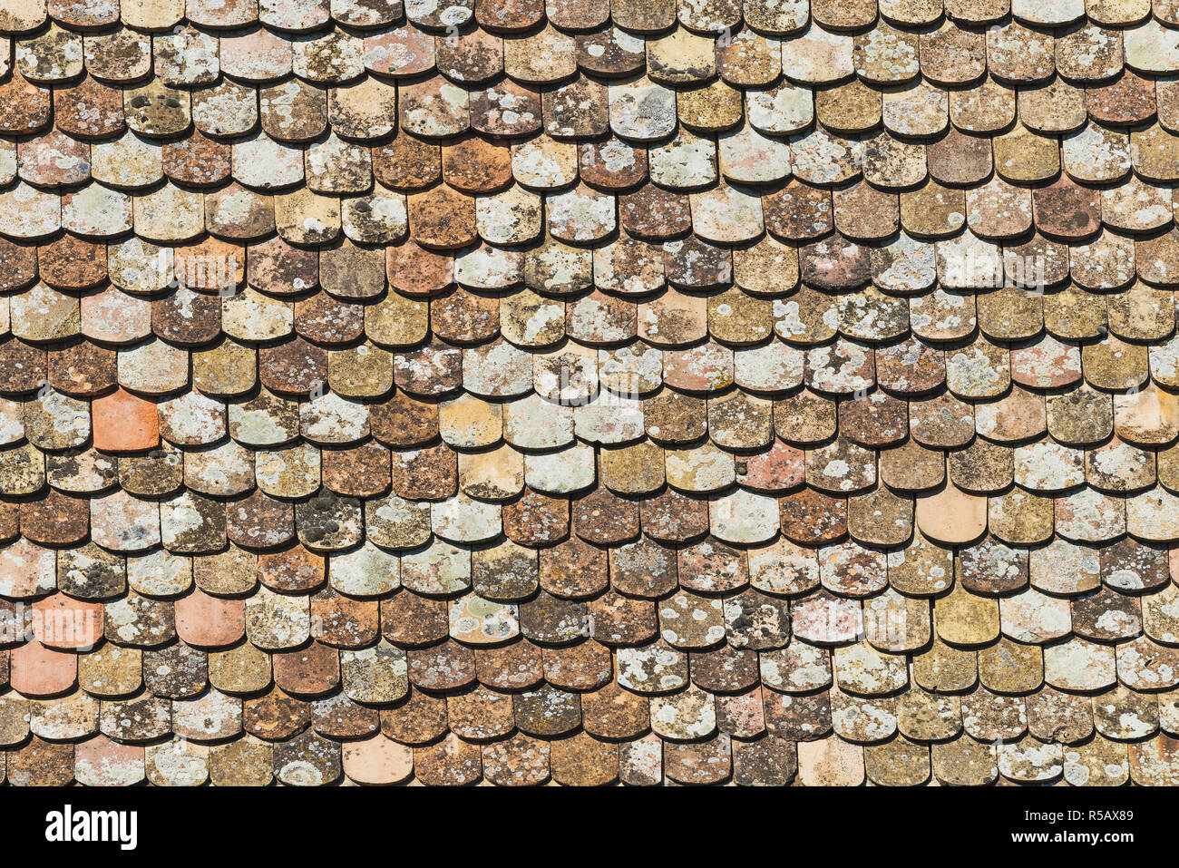 Detail Foto einer alten Ziegeldach in Sümeg, komitats Veszprem, Mitteltransdanubien, Europa Stockfoto