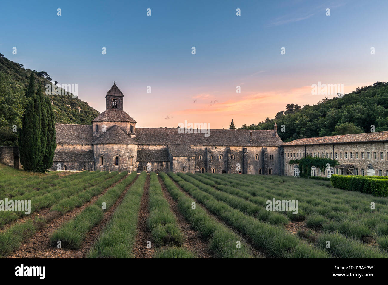 Sonnenuntergang an der Notre-Dame de Sénanque Kloster in Gordes, Provence, Südfrankreich. Stockfoto