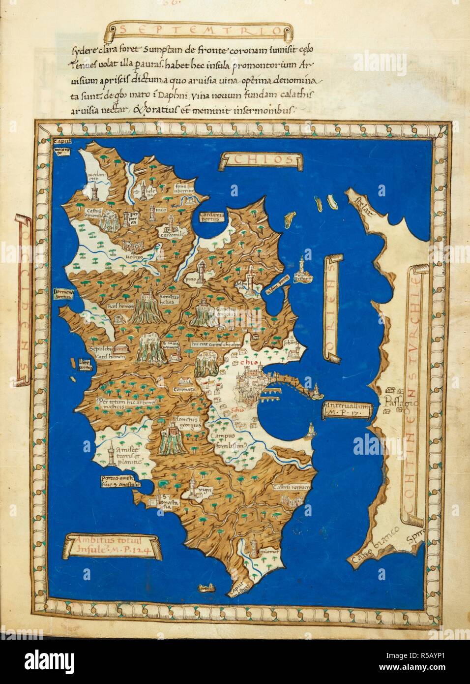 Henricus martellus germanus Fotos und Bildmaterial in hoher Auflösung