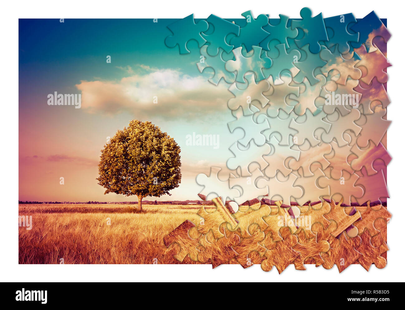 Isolierte Baum in einer ländlichen Szene in der Toskana (Italien) - Umweltschutz Konzept Bild im Puzzle Form Stockfoto