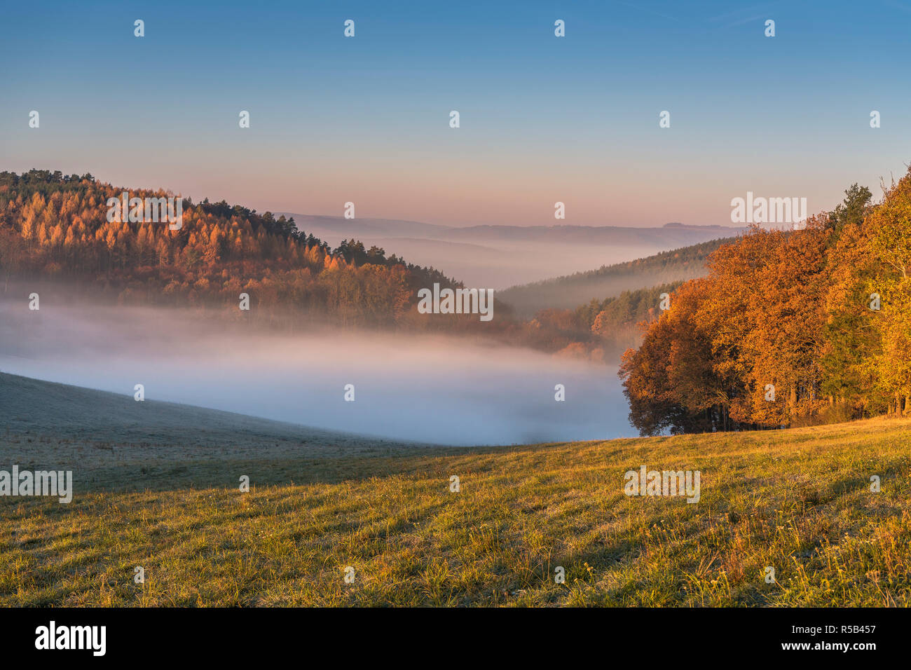 Blick ins Saaletal in der Nähe von Magersdorf, Herbst, Nebel, Thüringen, Deutschland Stockfoto