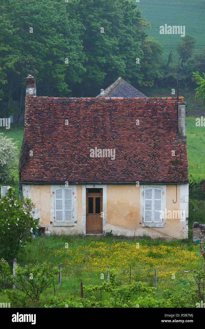 Frankreich, Normandie, Orne Abteilung, Mortagne au Perche, Bauernhaus Landschaft im Frühsommer Stockfoto