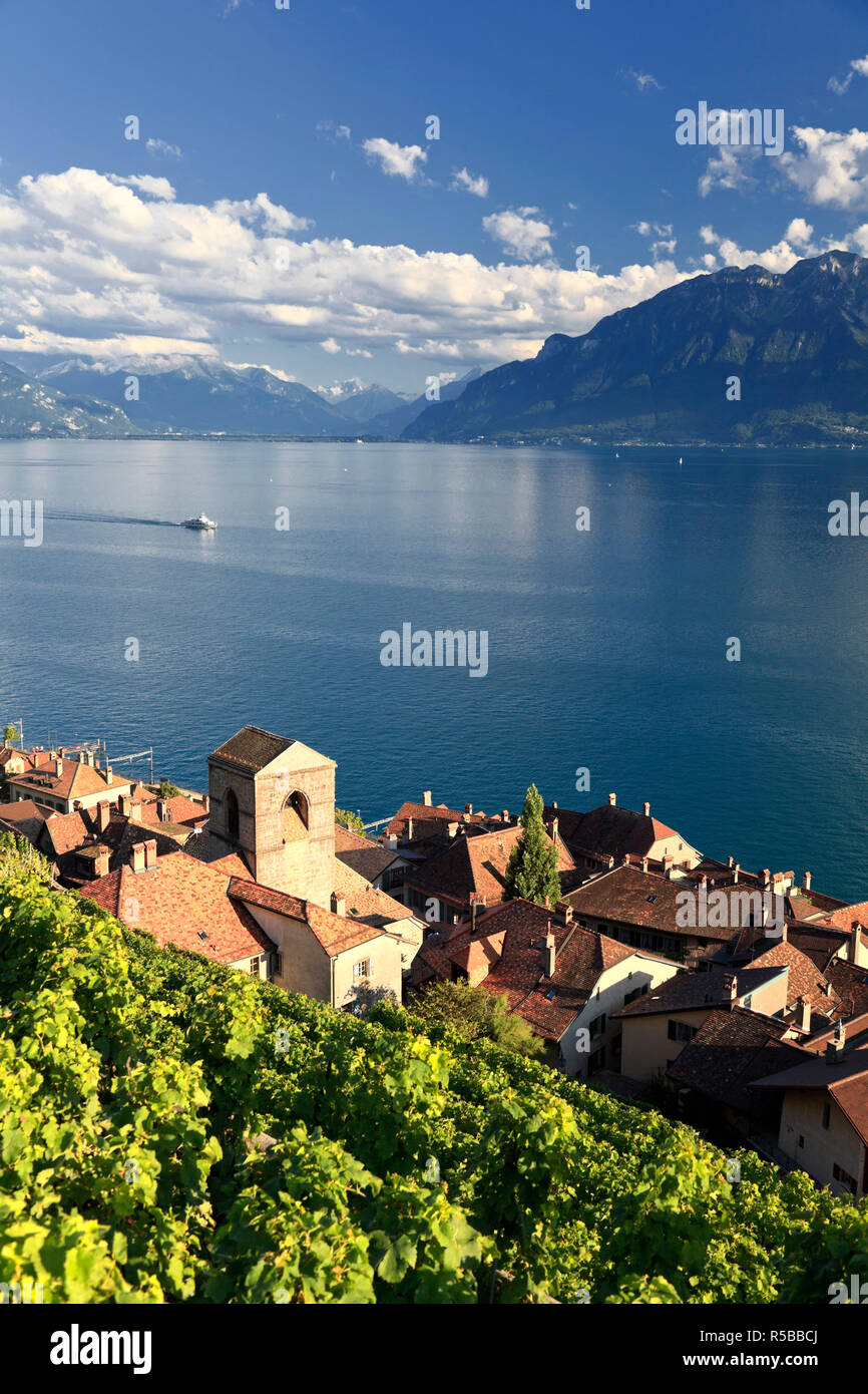 Schweiz, Waadt, Lavaux, St. Saphorin Dorf und Lac Leman/Genfer See Stockfoto