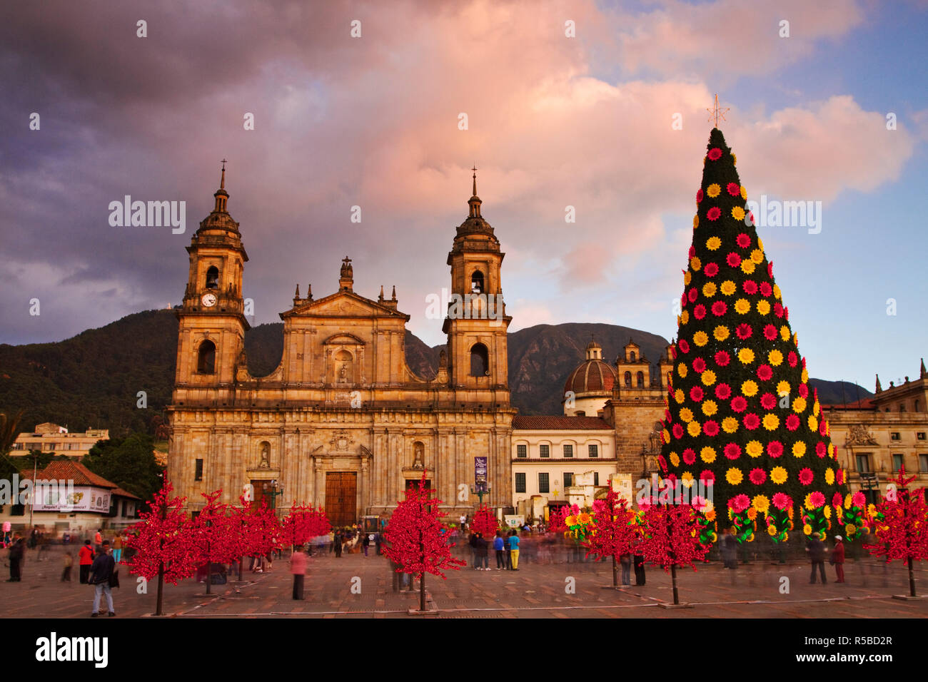 Kolumbien, Bogota, die Plaza de Bolivar, neoklassische Kathedrale Primada de Kolumbien an Weihnachten Stockfoto