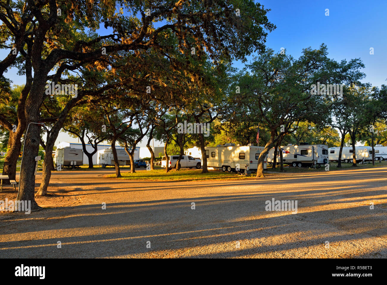 RVs und Eichen in der ROADRUNNER RV Park, Johnson City, Texas, USA Stockfoto