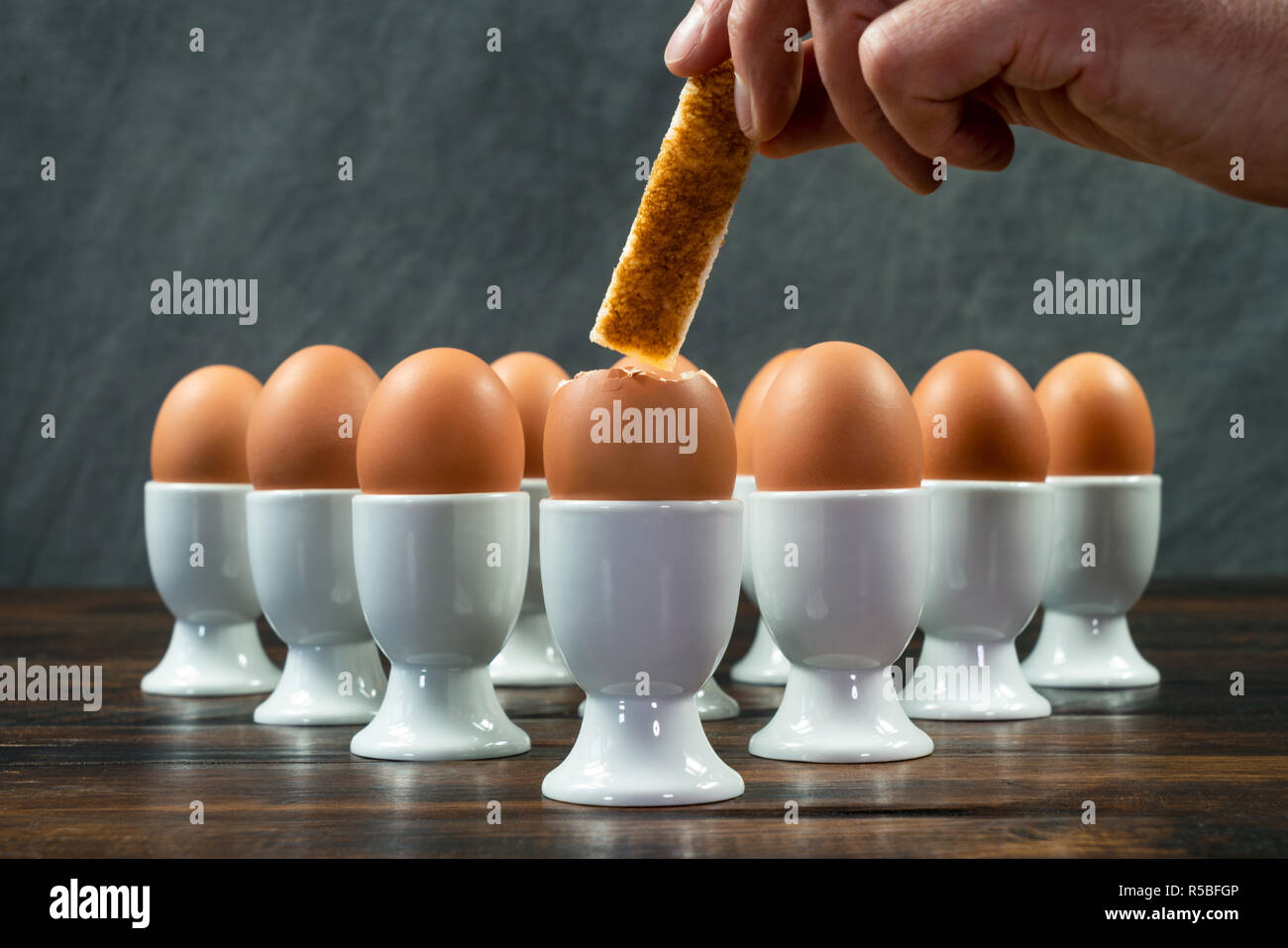 Person tauchen Toast Soldat in einem gekochten Ei einer Gruppe von Eiern in Weiß Eierbecher auf einem Holztisch Stockfoto