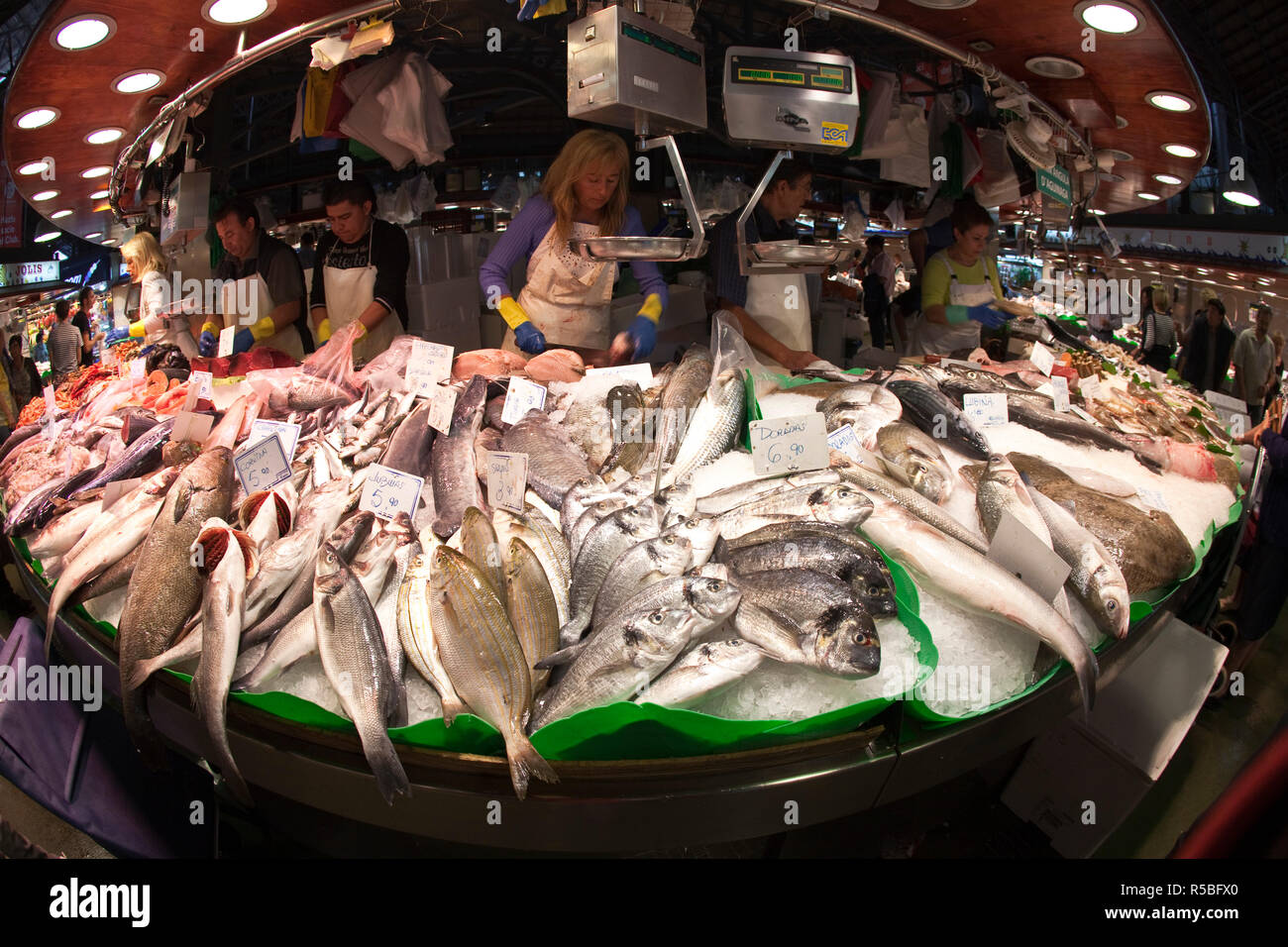 Fisch, der für den Verkauf in den Markt La Boqueria, Barcelona, Spanien Stockfoto