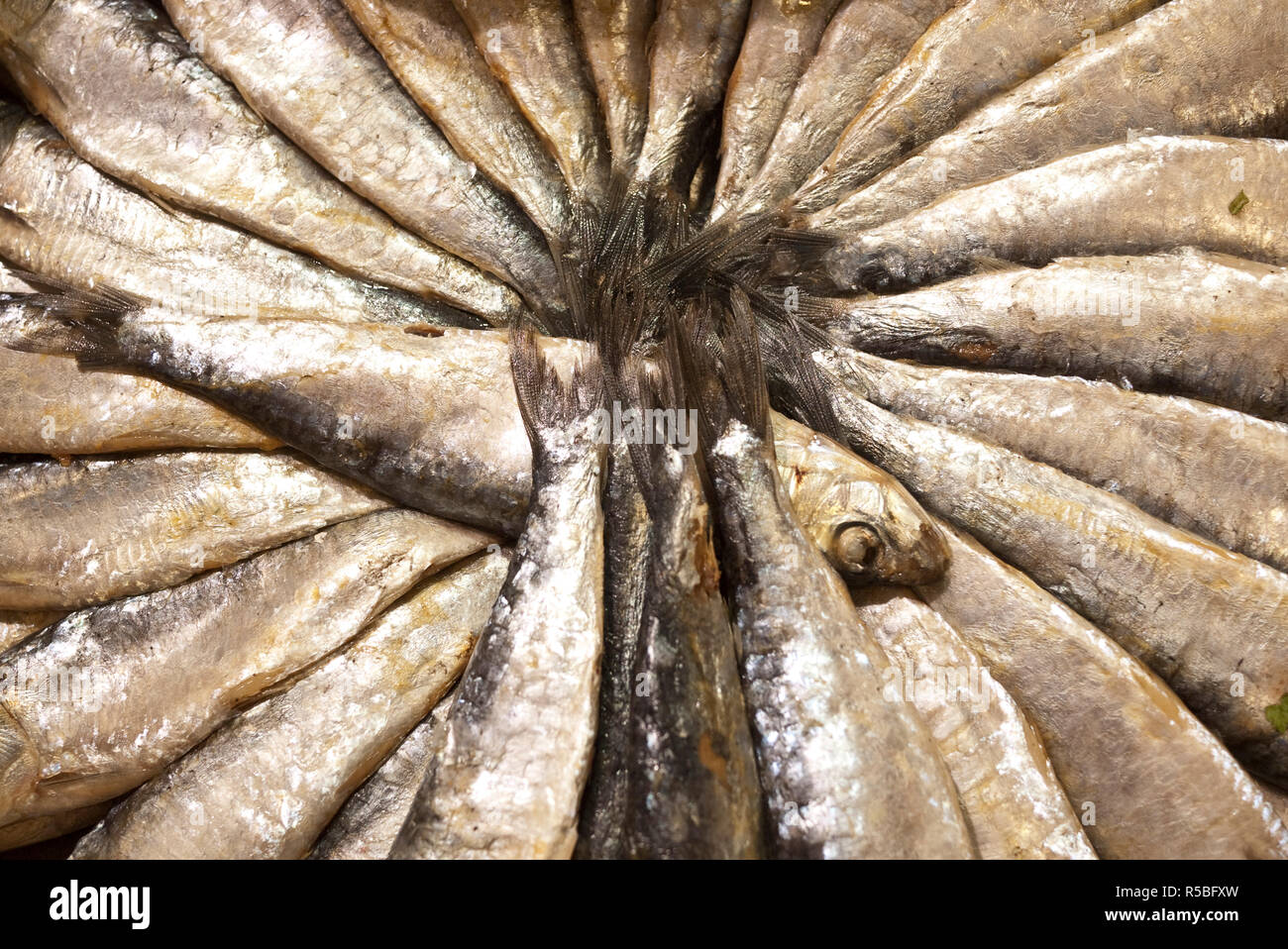 Fisch, der für den Verkauf in den Markt La Boqueria, Barcelona, Spanien Stockfoto