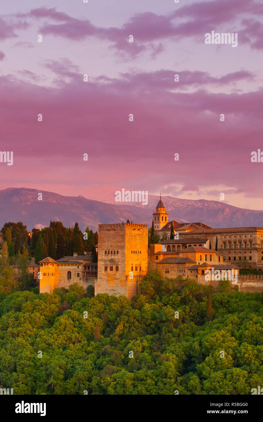 Die Alhambra bei Sonnenuntergang, Granada, Provinz Granada, Andalusien, Spanien Stockfoto