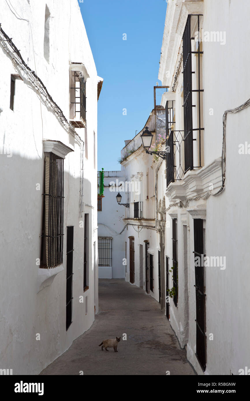 Die typischen engen Gassen und weiß getünchten Häusern, Arcos de la Fontera, Provinz Cadiz, Andalusien, Spanien Stockfoto