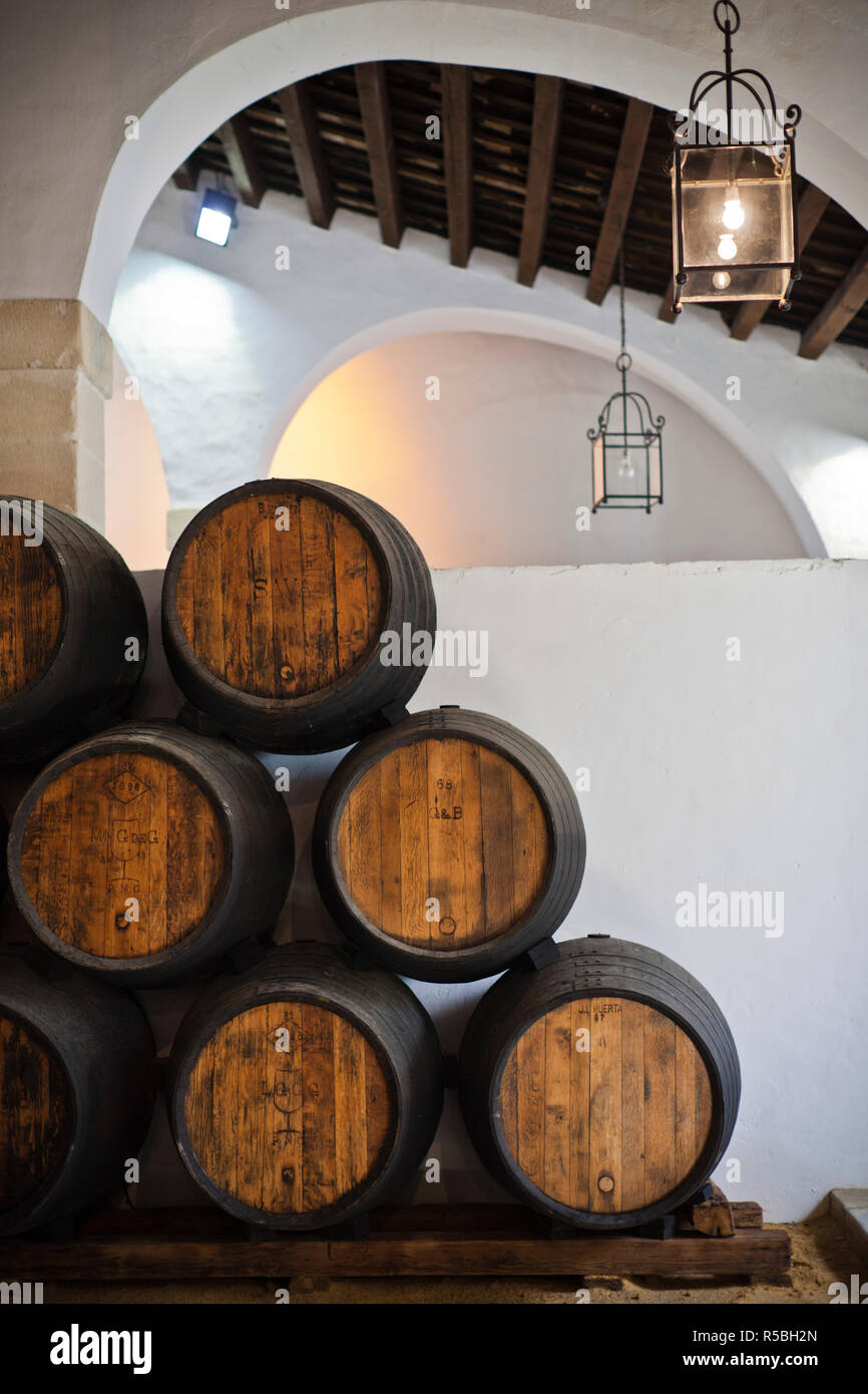 Spanien, Andalusien, Provinz Cadiz, Sherry, Jerez de la Frontera, Bodegas Gonzalez Byass, Sherry Fässern Stockfoto