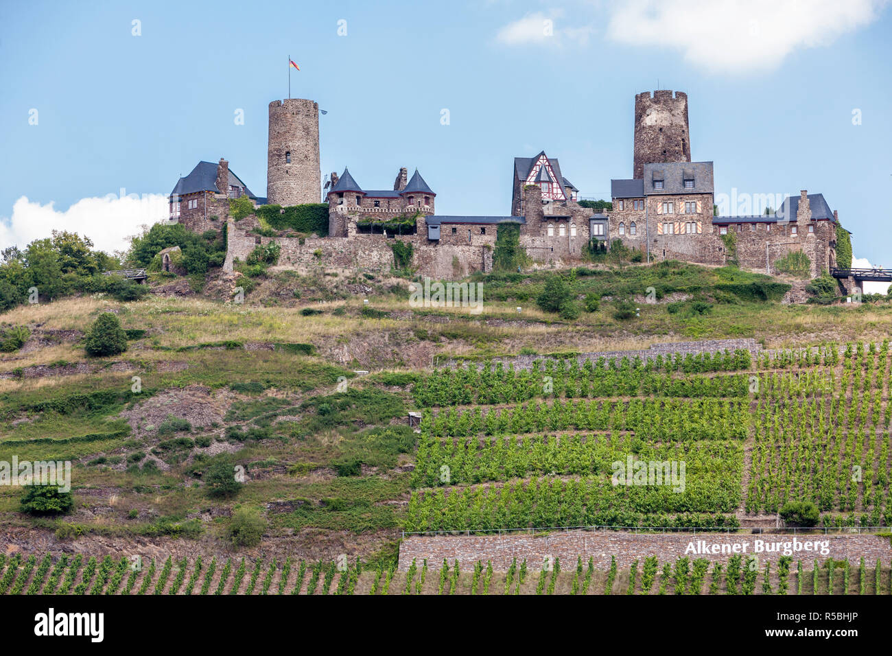 Alken, Deutschland. Burg Thurant (Burg Thurant), oberhalb der Mosel. Weinberge an steilen Hängen. Stockfoto
