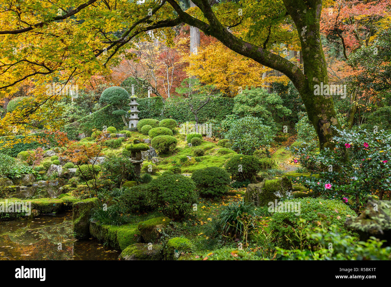 Japanischer Garten mit autuman Ahorn Stockfoto