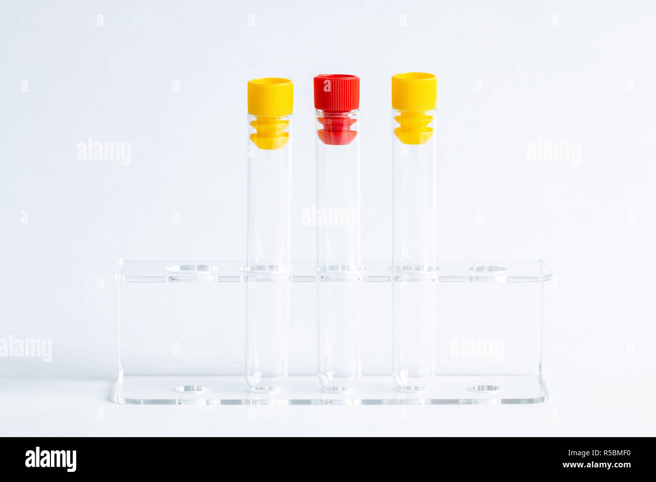 Leere Glas Reagenzgläser. Stockfoto