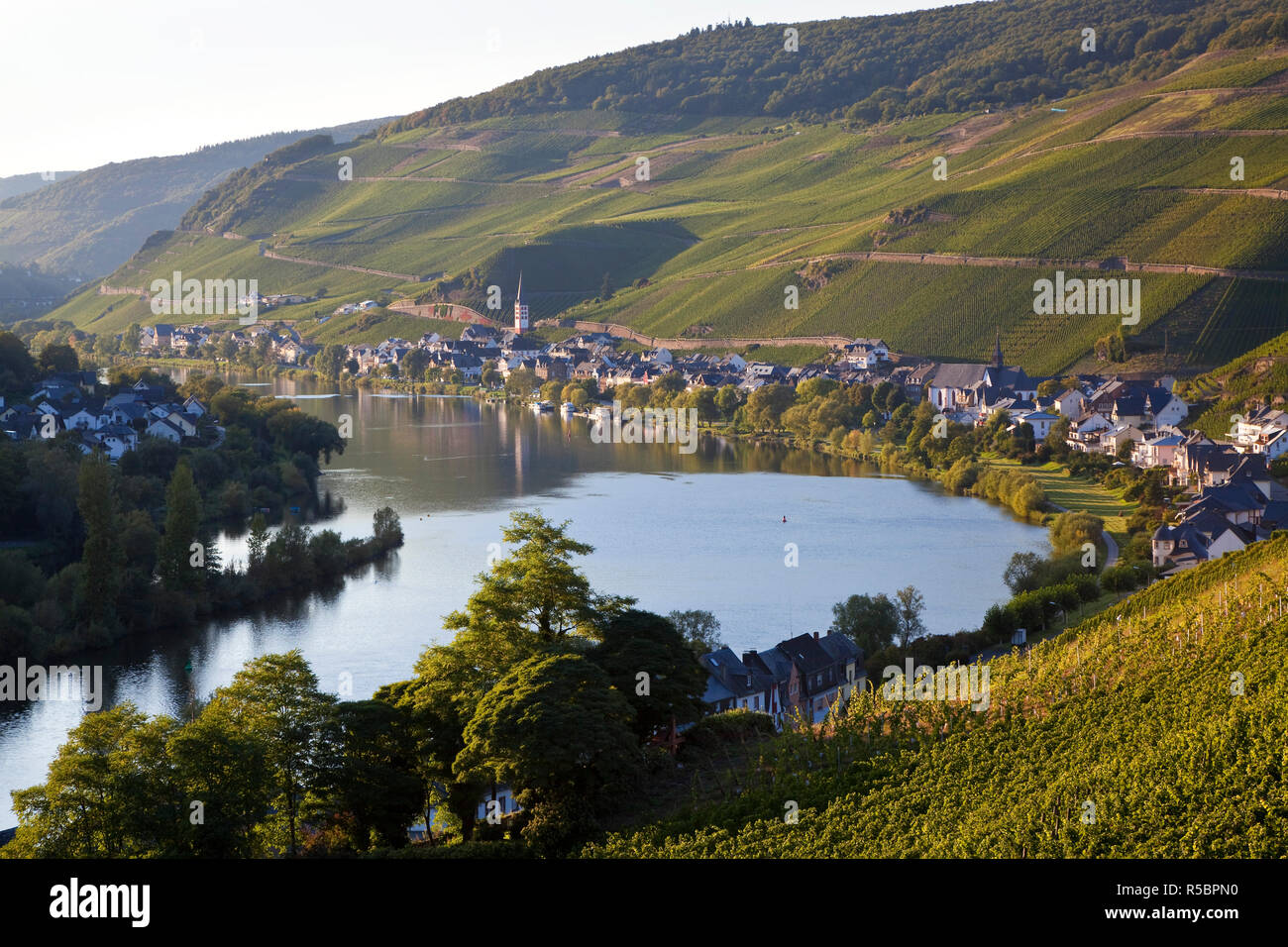 Blick auf die Weinberge und die Mosel in Richtung Dorf, Kaimt Mosel Moseltal, Rheinland - Pfalz, Deutschland Stockfoto