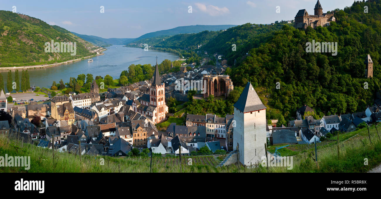 Blick über Bacharach & Rhein, Rhein, Deutschland Stockfoto