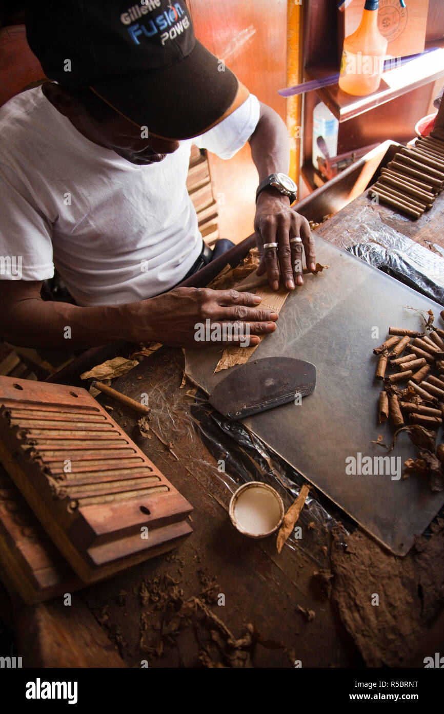 Dominikanische Republik, Santo Domingo, Zona Colonial, Zigarre Rollen bei La Leyenda del Cigarro Zigarrenfabrik Stockfoto