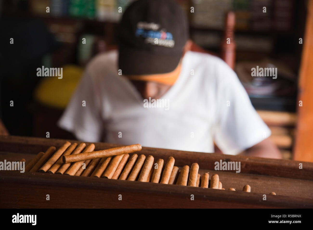 Dominikanische Republik, Santo Domingo, Zona Colonial, Zigarre Rollen bei La Leyenda del Cigarro Zigarrenfabrik Stockfoto