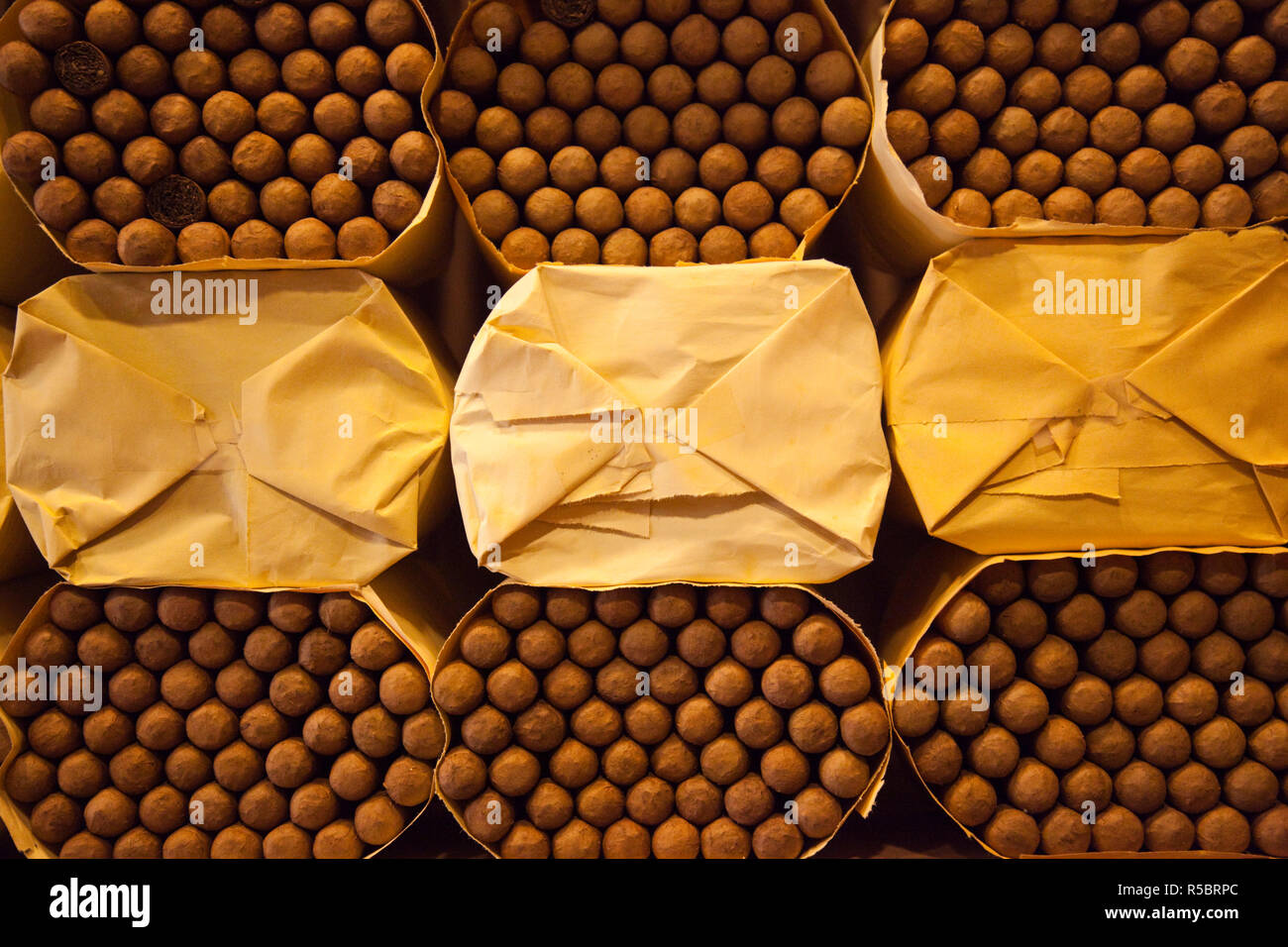 Dominikanische Republik, Santo Domingo, Zona Colonial, Cohiba Zigarren in der Boutique del Fumador Zigarrenfabrik gelagert Stockfoto