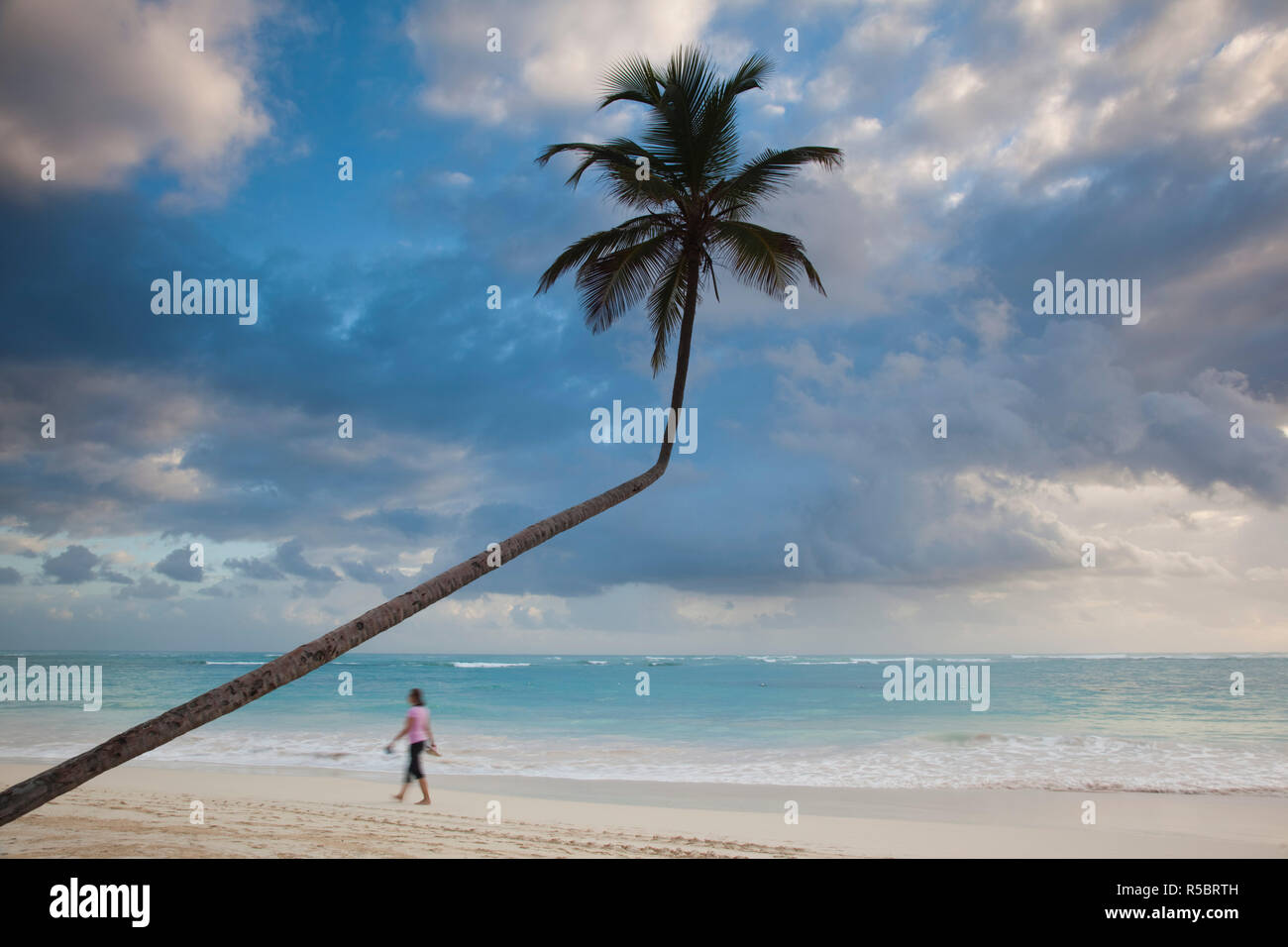 Dominikanische Republik, Punta Cana, Bavaro, Playa Bavaro Beach Palms Stockfoto