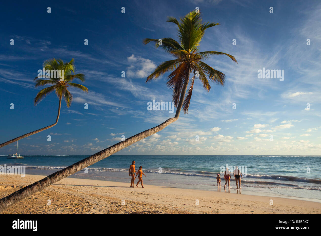 Dominikanische Republik, Punta Cana, Bavaro, Bavaro Beach, Palm Stockfoto