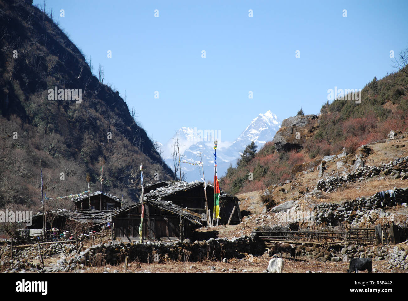 Der Sherpa Dorf Thudam in der Nähe der Lumba Sumba La Pass im östlichen Nepal Stockfoto