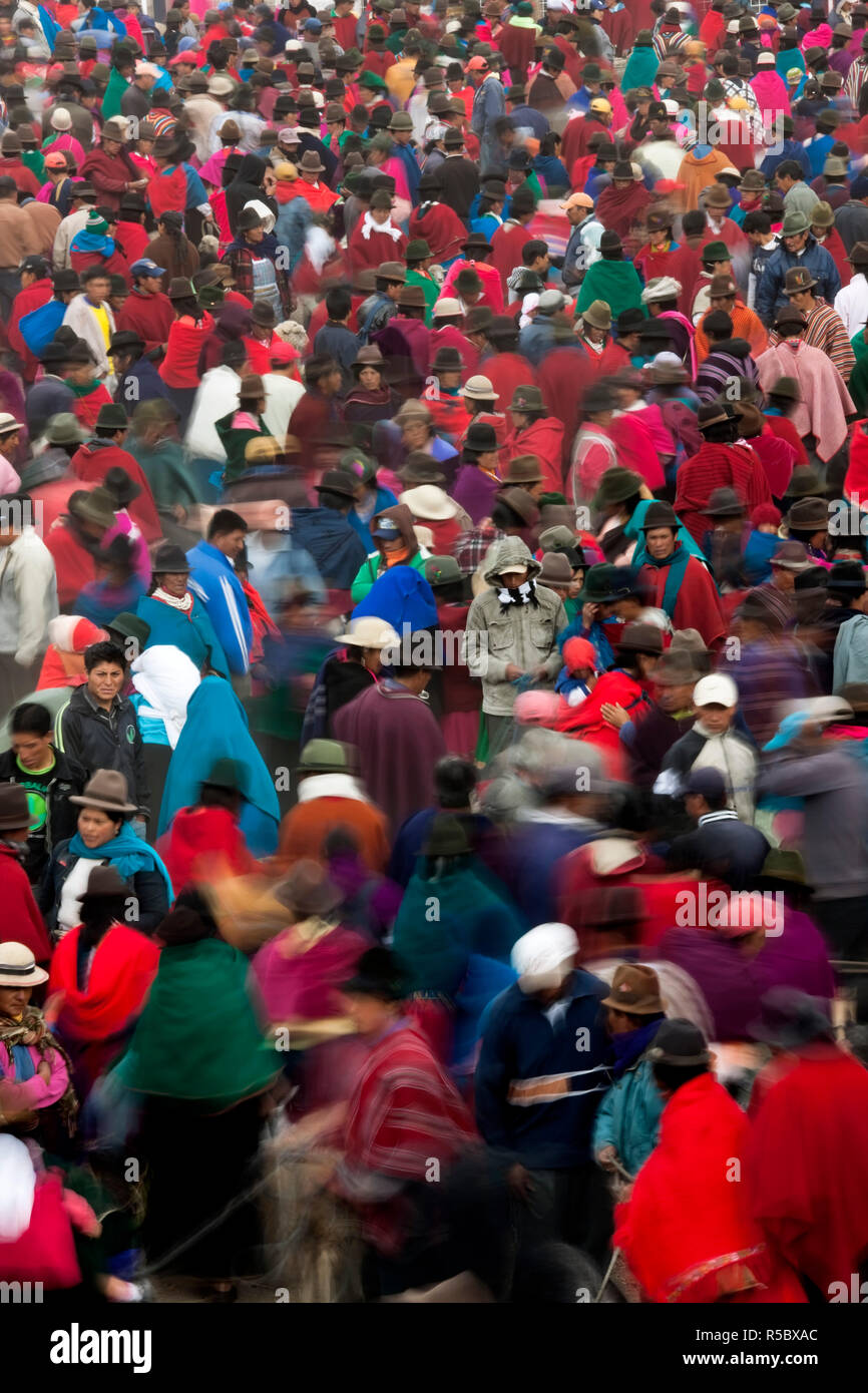 Tiermarkt, Guamote, nr Riobamba, Hochland, Ecuador Stockfoto
