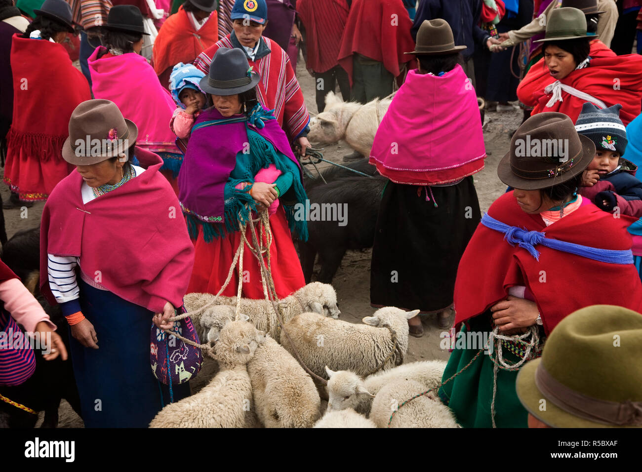 Tiermarkt, Guamote, nr Riobamba, Hochland, Ecuador Stockfoto