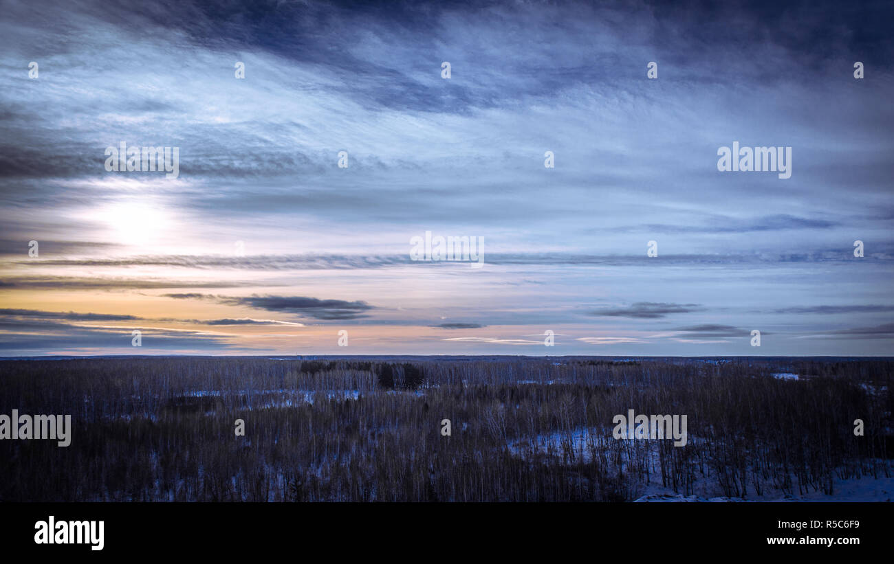 Winter Sonnenuntergang im Wald Stockfoto