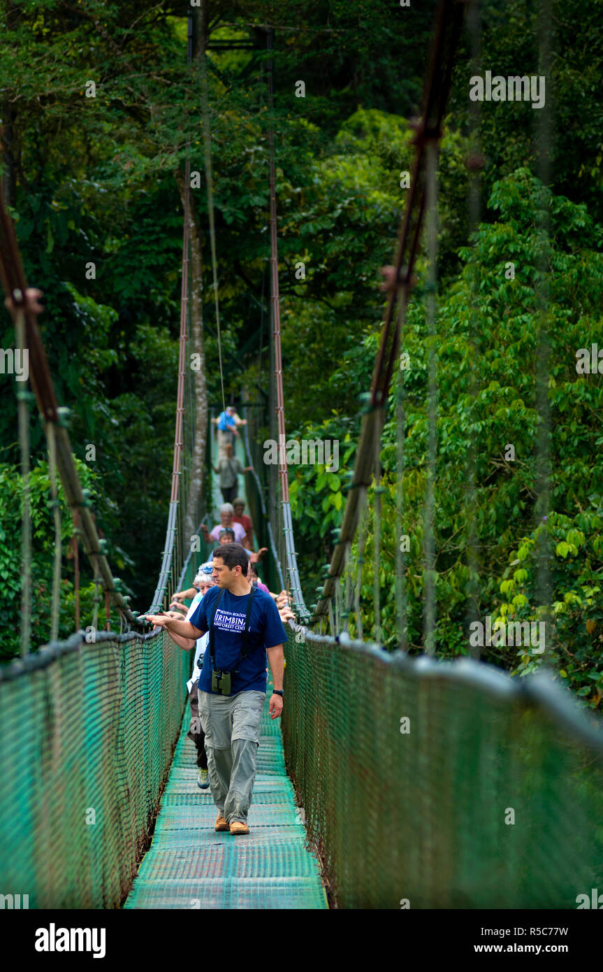 Costa Rica, La Virgen de Sarapiqui, Tour Guide, Touristen, Tirimbina biologische Reserve, Hängebrücke, Regenwald Stockfoto