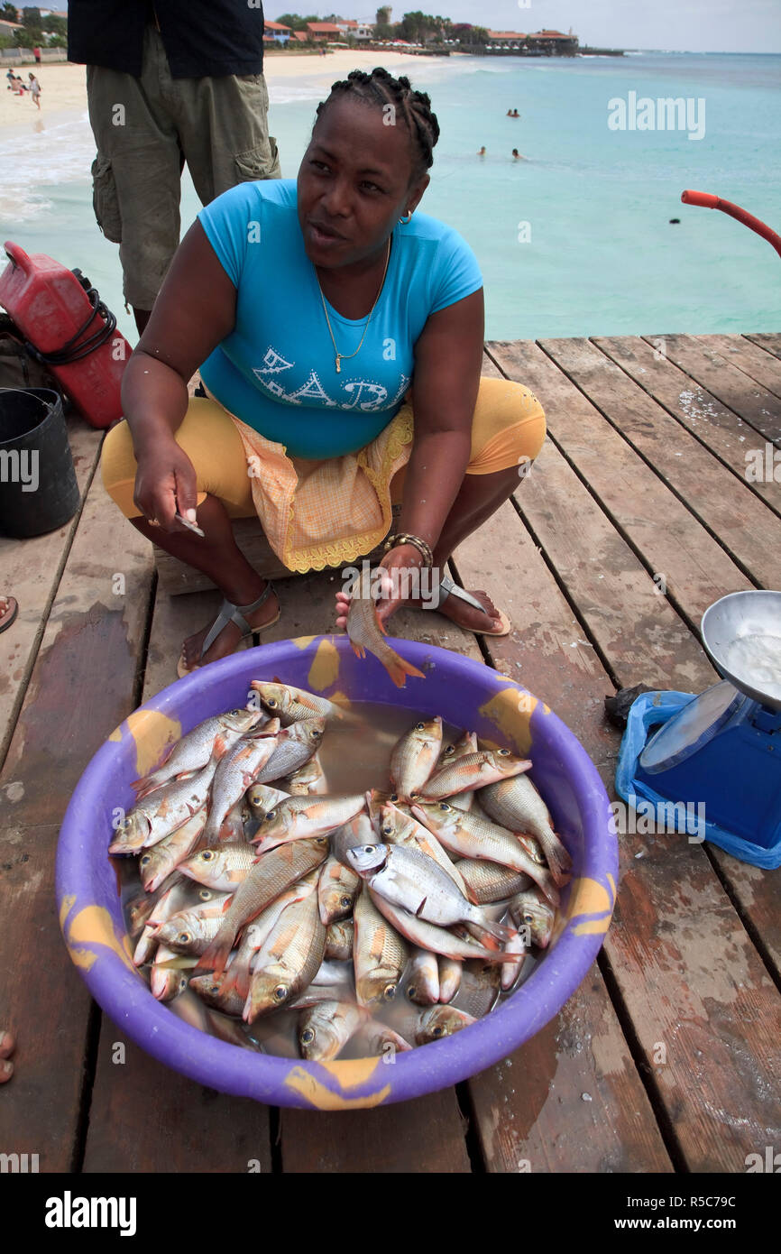 Kapverden, Sal, Santa Maria Village, Fisch Auftragnehmer auf der Jetty Stockfoto
