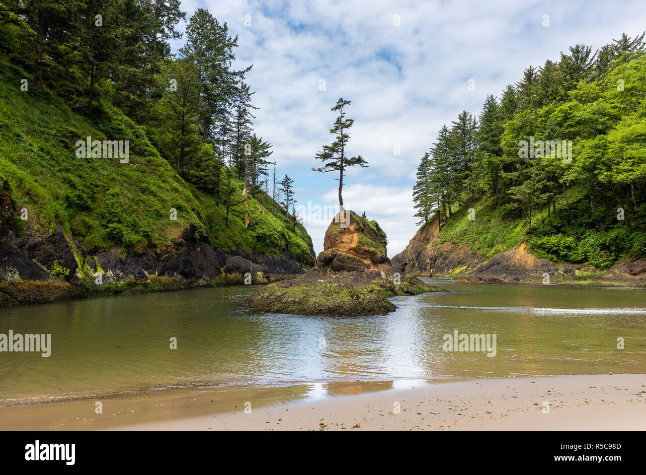 Deadman's Cove am Kap Enttäuschung im Staat Washington, USA Stockfoto