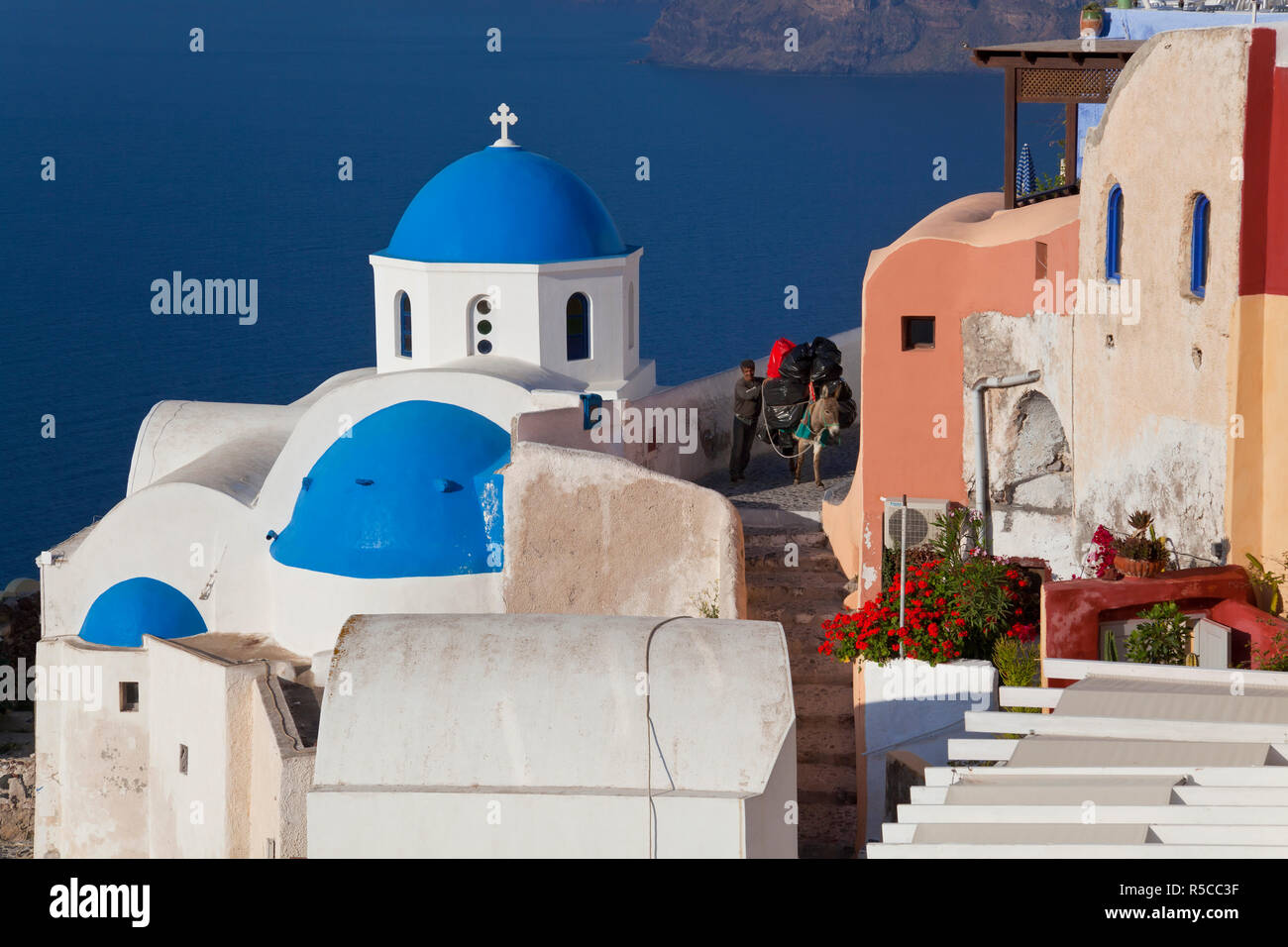 Pack Esel, Oia, Santorini, Kykladen, Griechenland Stockfoto