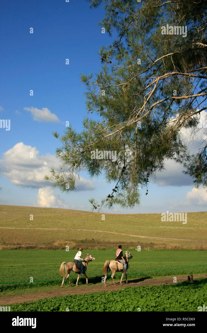 Israel, Reiten in Menashe' an. Stockfoto