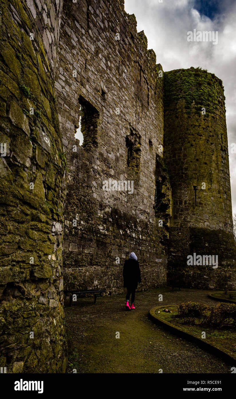 Carlow Castle Stockfoto