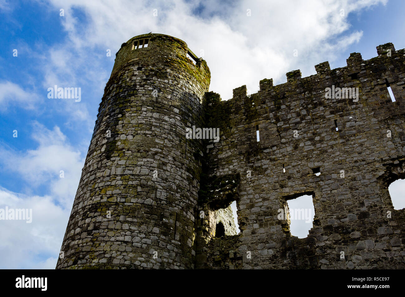 Carlow Castle Stockfoto